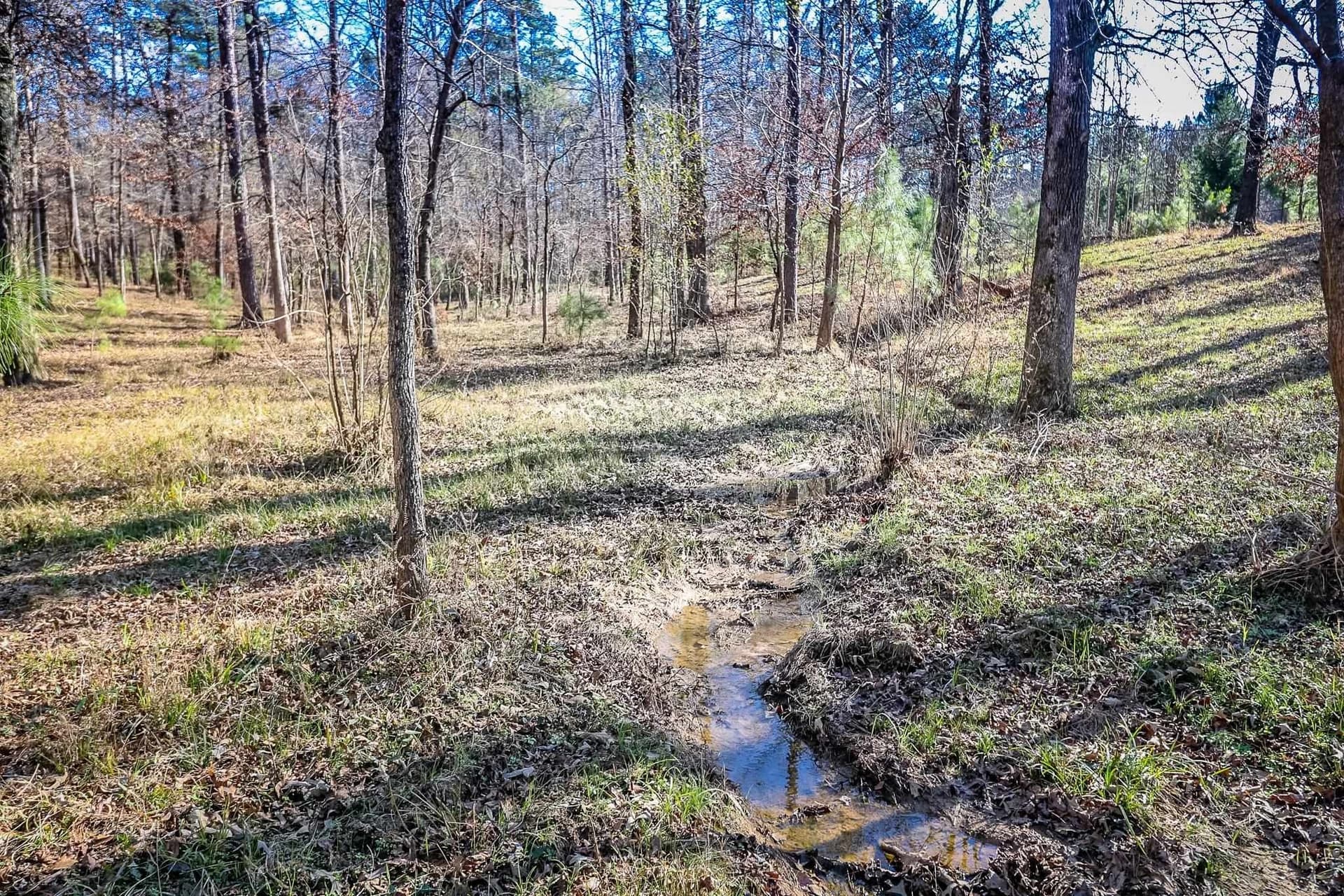 28 acres in Marion County - photo 29