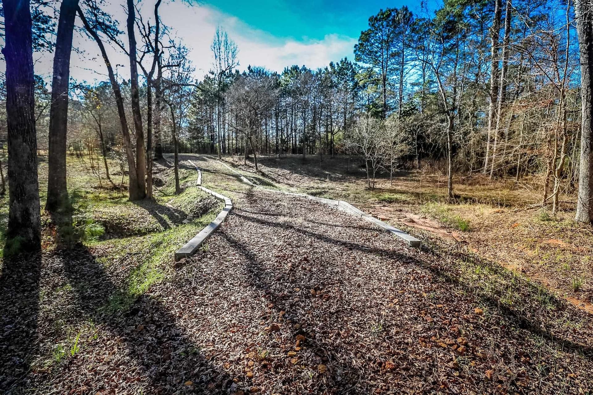 28 acres in Marion County - photo 27