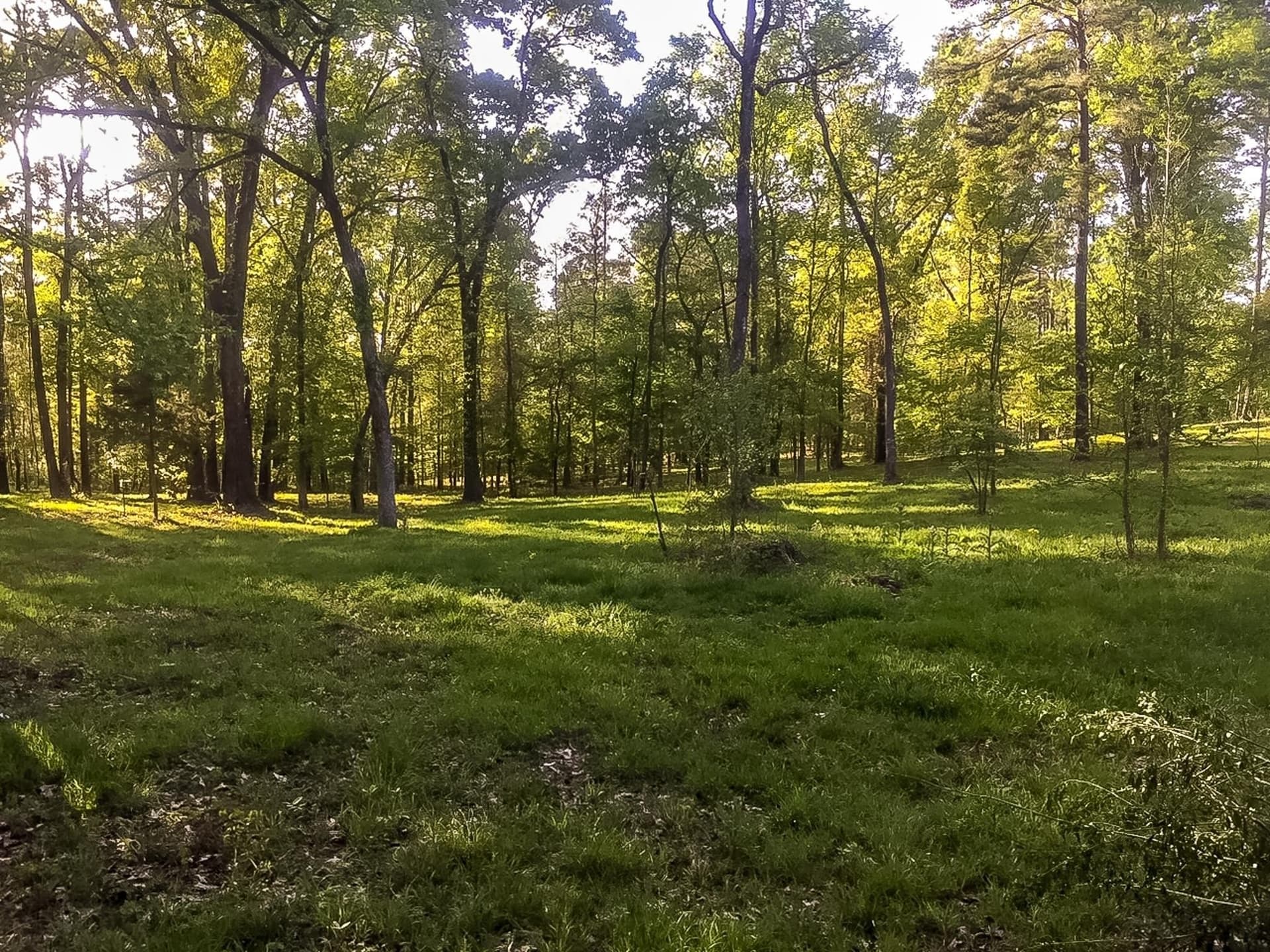 28 acres in Marion County - photo 18