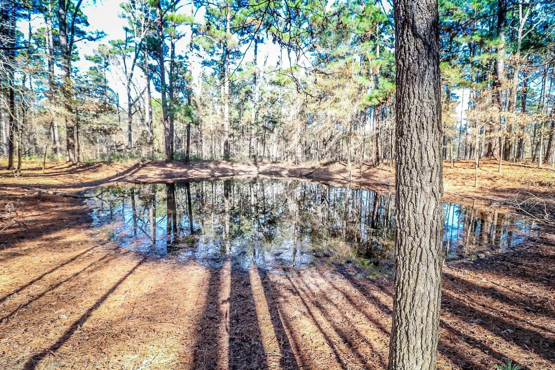 28 acres in Marion County - photo 20