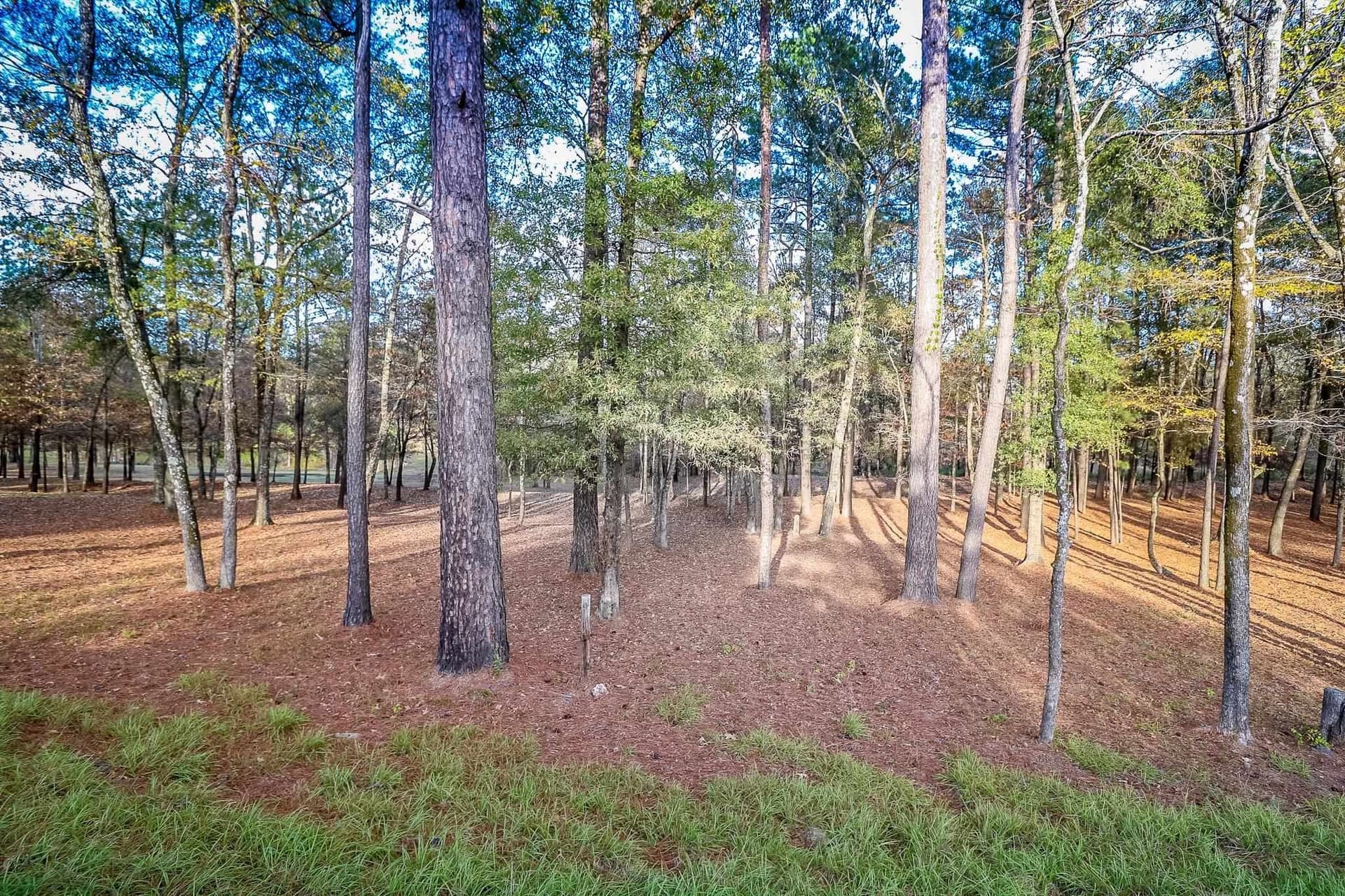28 acres in Marion County - photo 23
