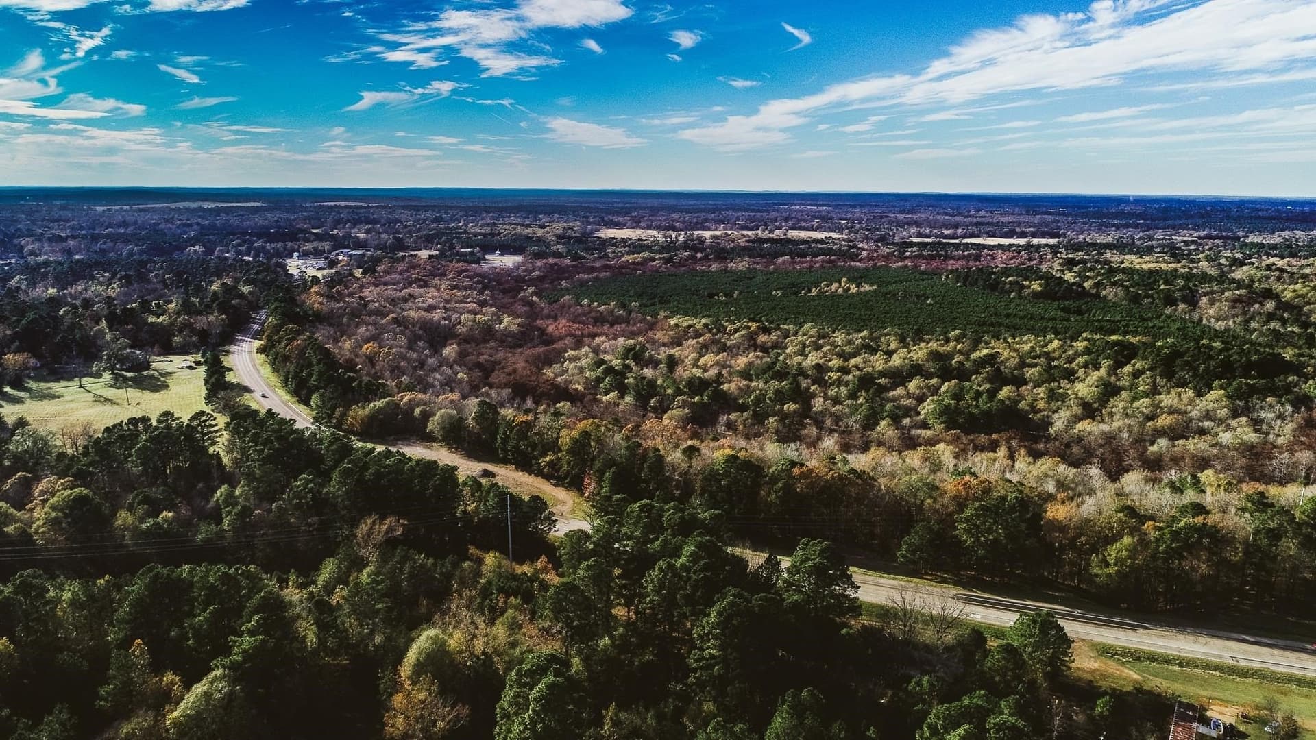 28 acres in Marion County gallery image 4