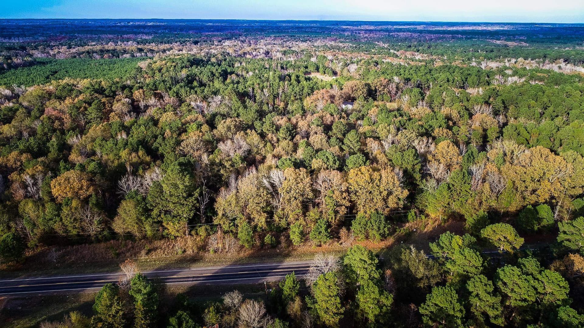 28 acres in Marion County featured view