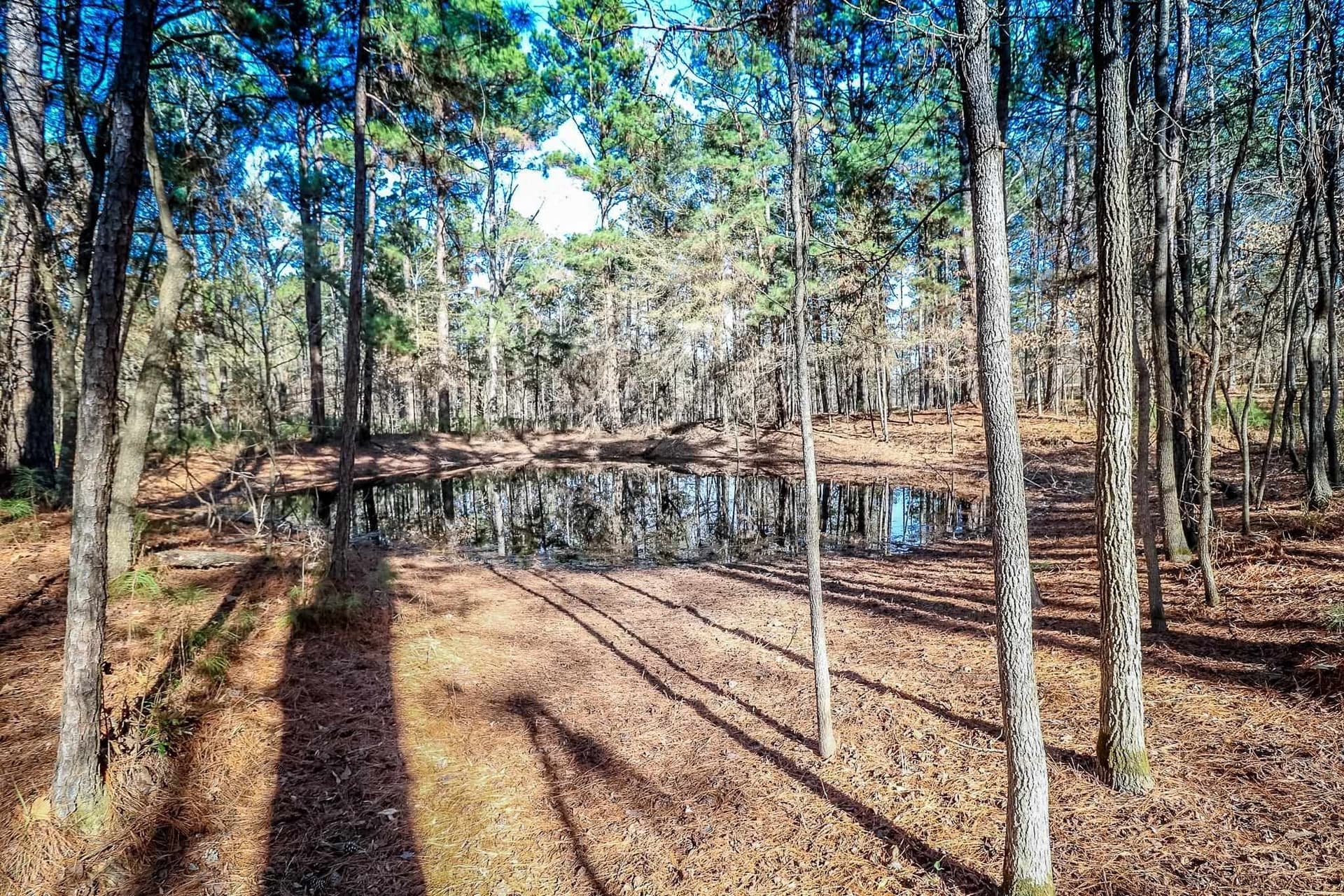 28 acres in Marion County - photo 21
