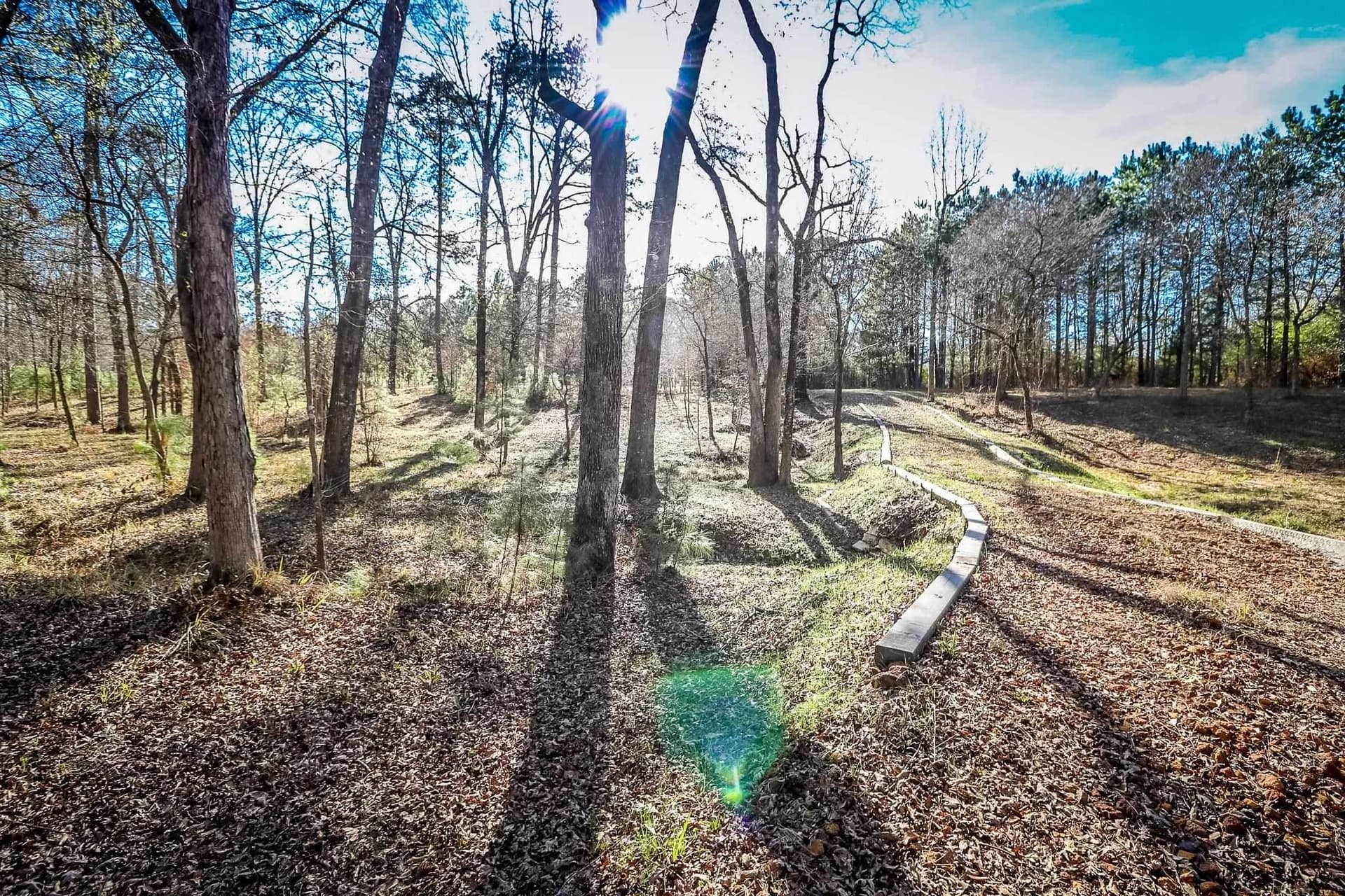 28 acres in Marion County - photo 28