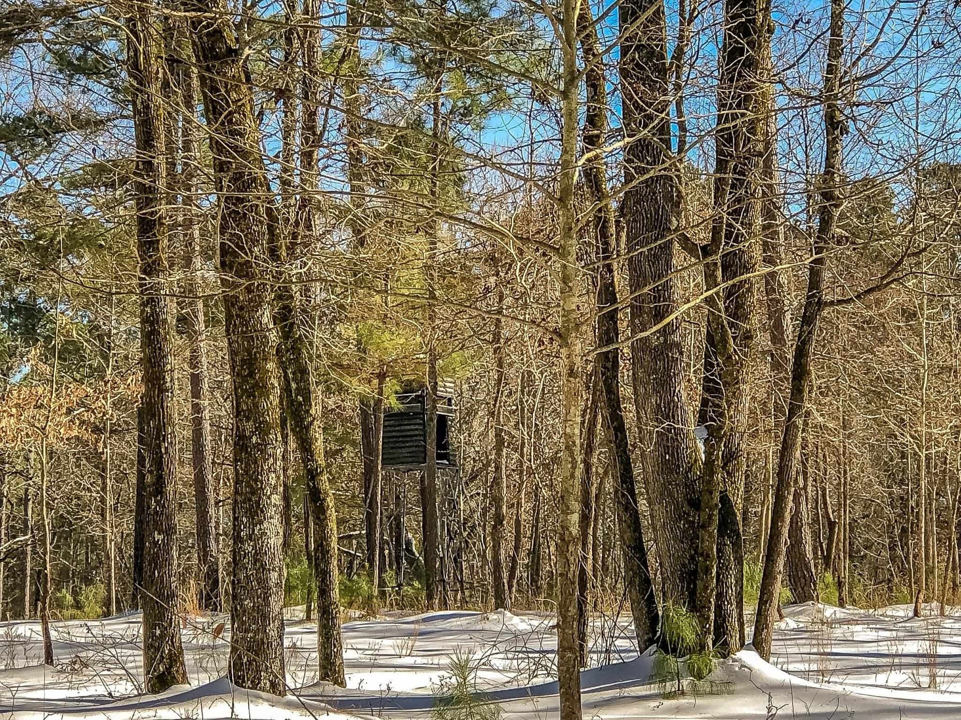 28 acres in Marion County - photo 12
