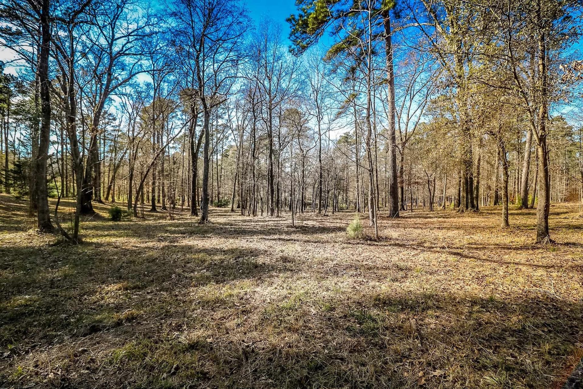 28 acres in Marion County - photo 24