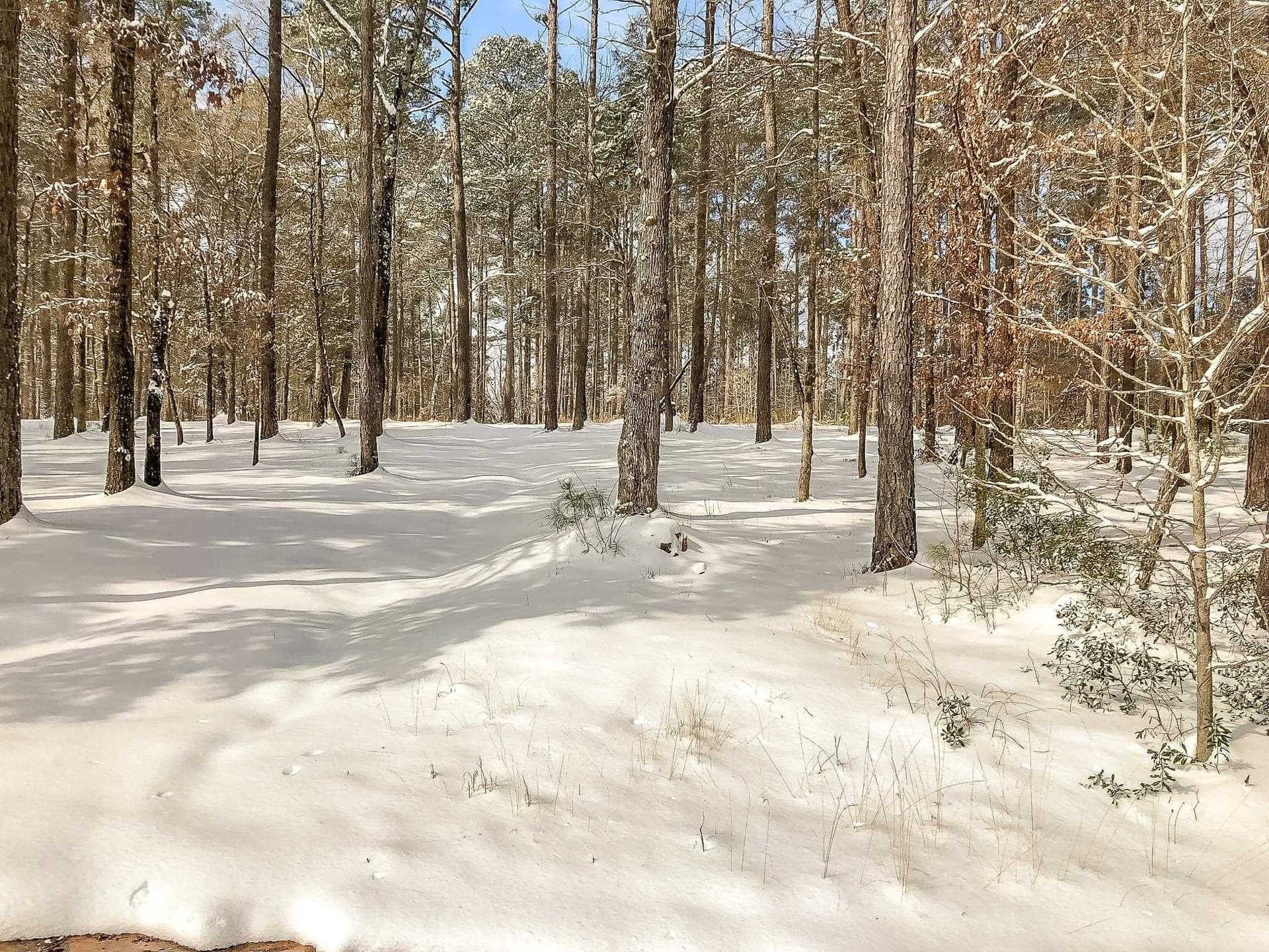 28 acres in Marion County - photo 10