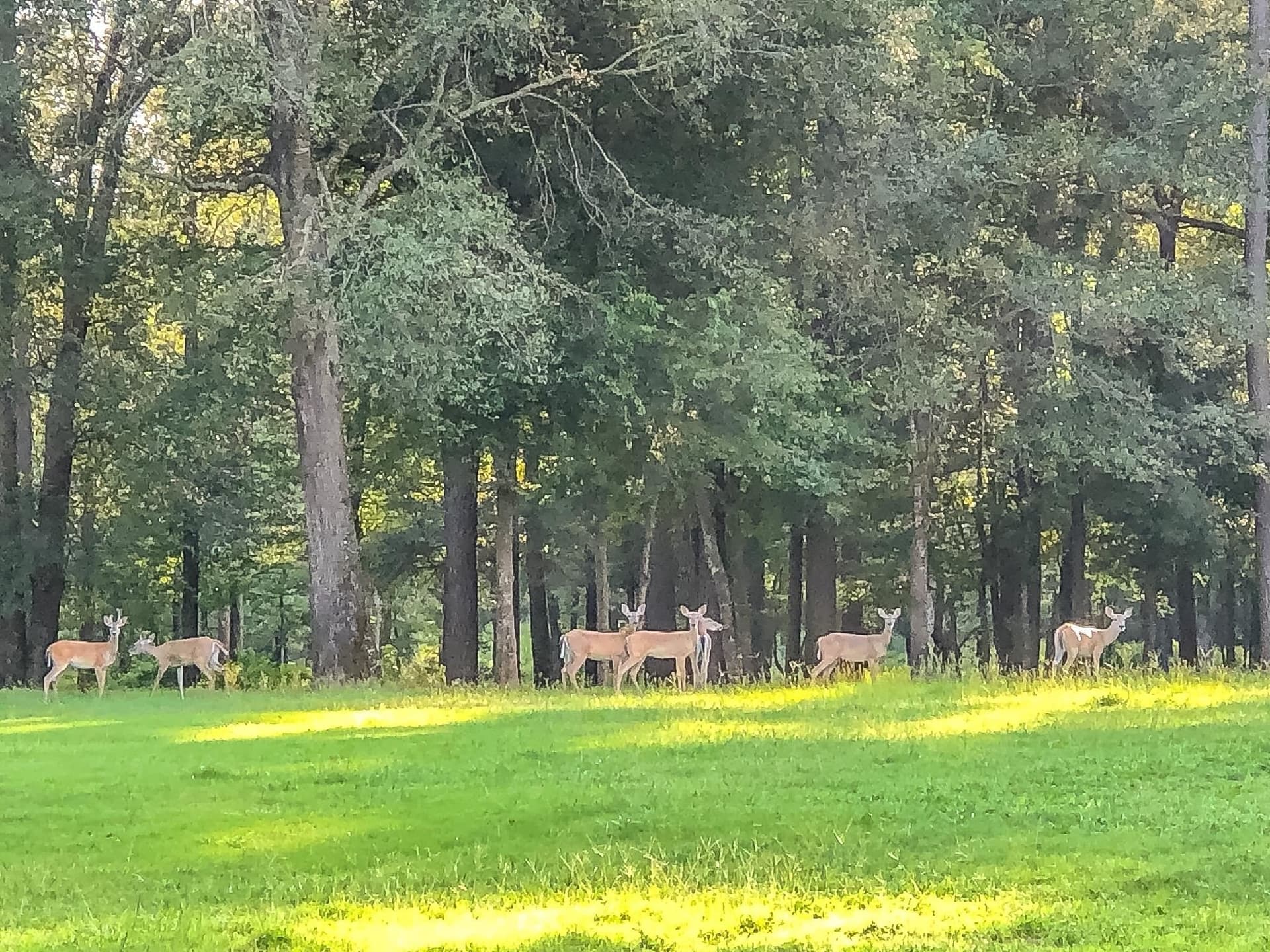 28 acres in Marion County - photo 16
