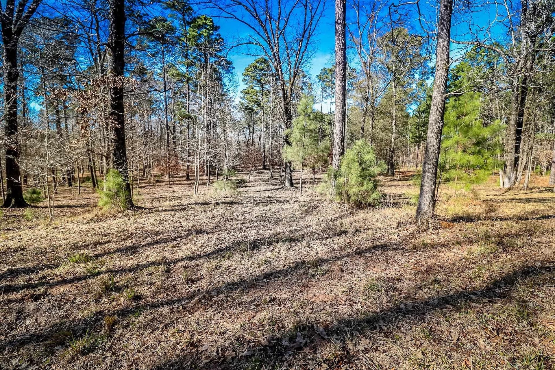 28 acres in Marion County - photo 26