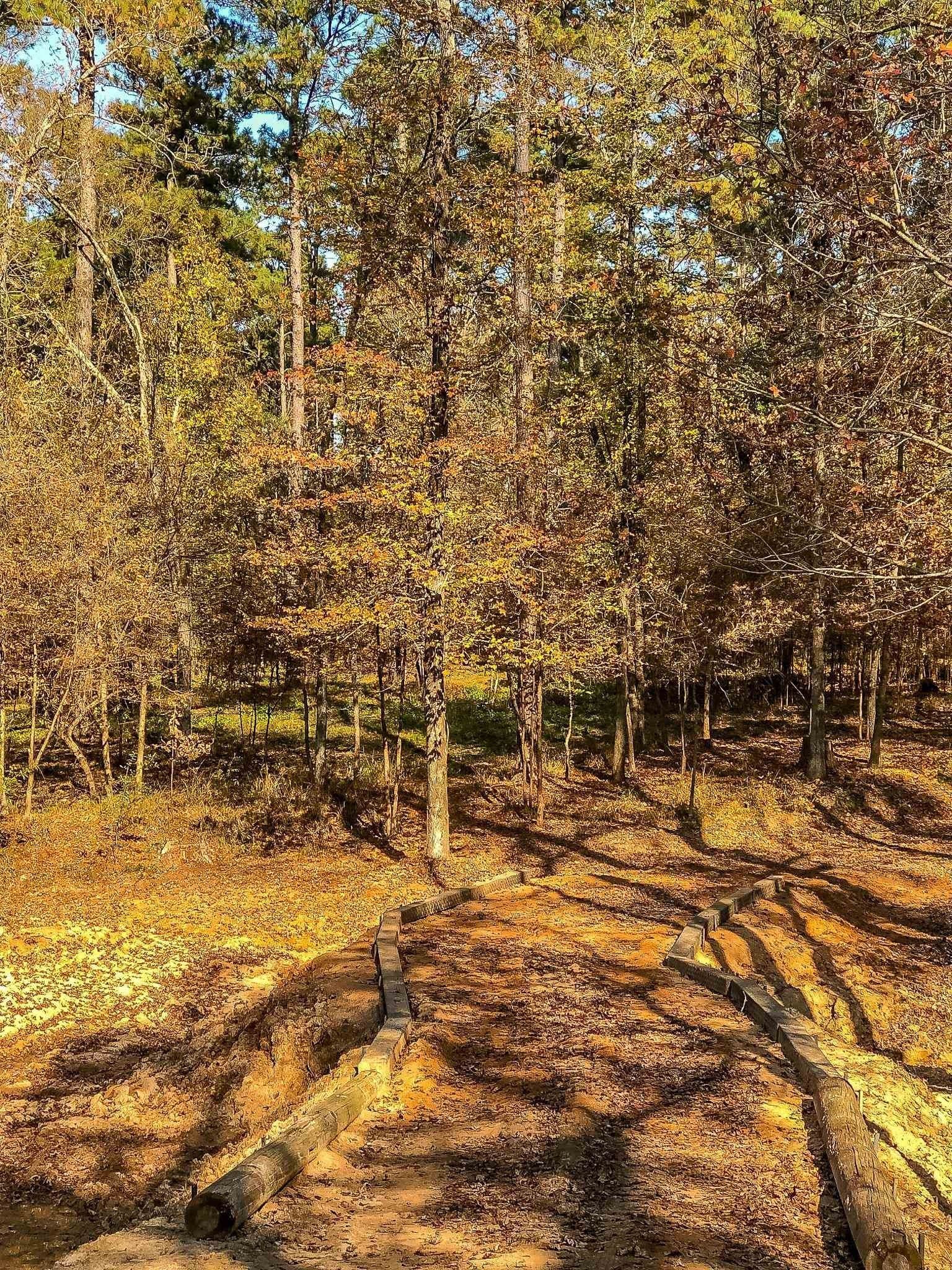 28 acres in Marion County - photo 8