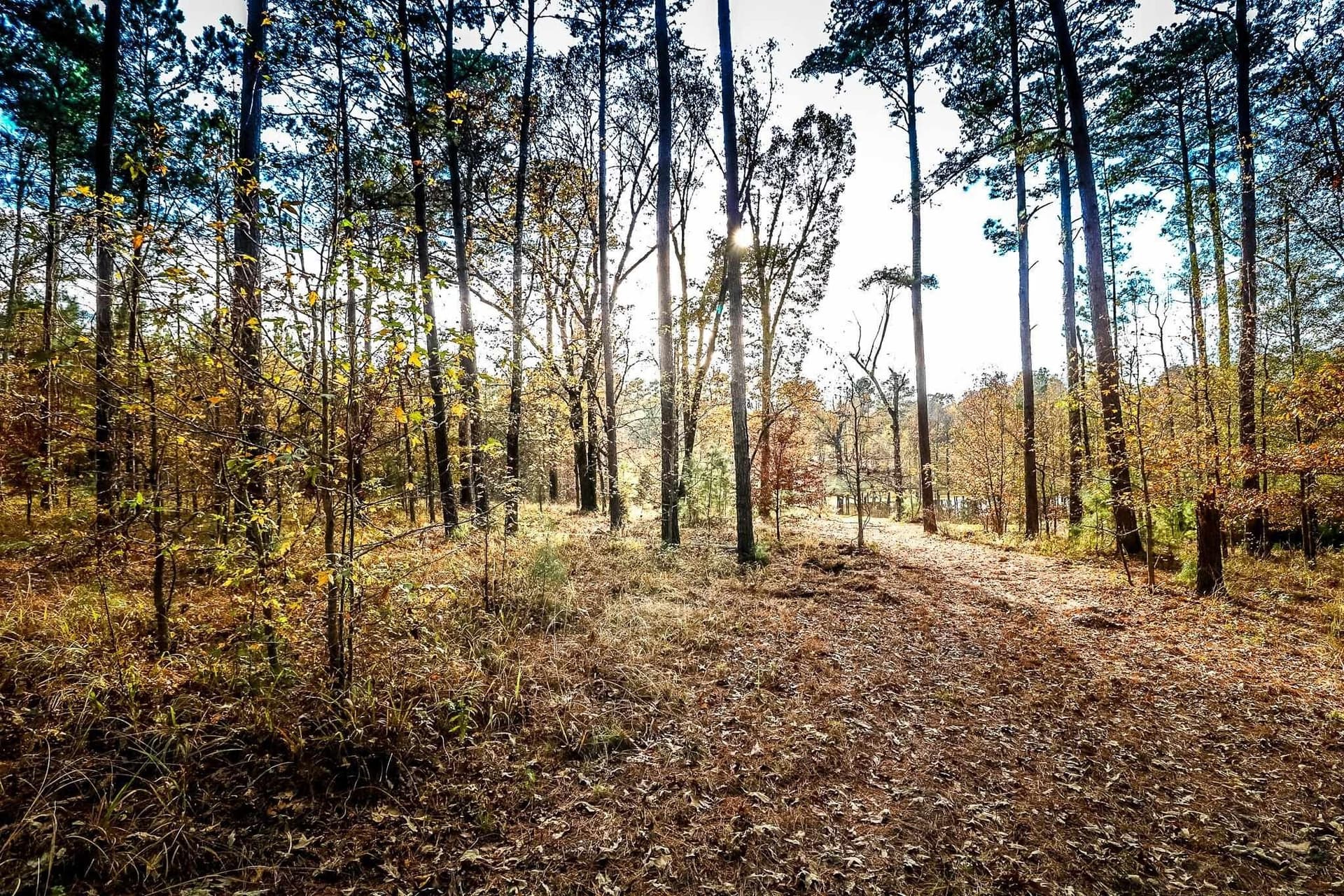 28 acres in Marion County - photo 22