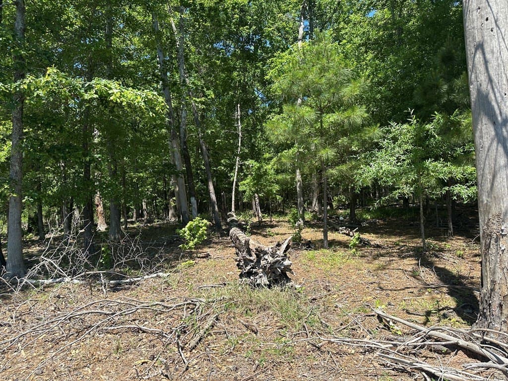 3.77 acres in Texas County - photo 19