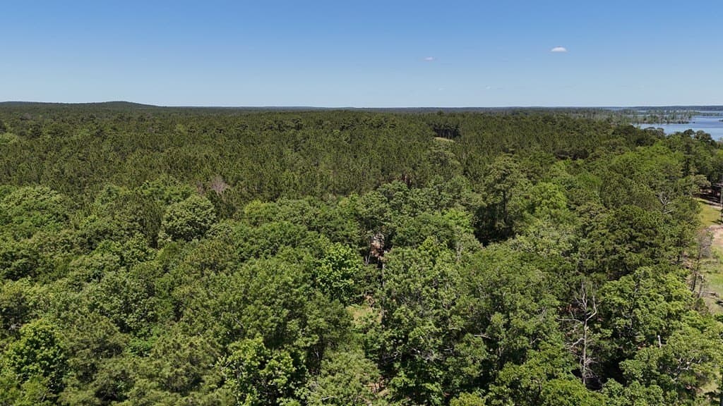 3.77 acres in Texas County - photo 7