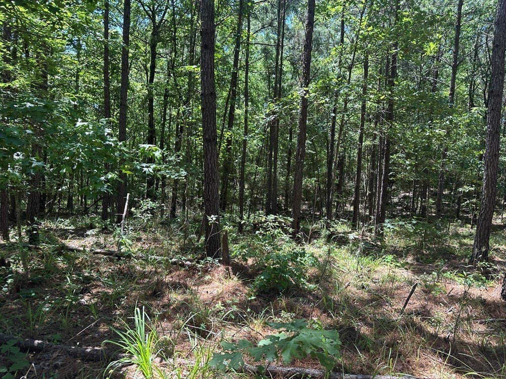 3.77 acres in Texas County - photo 26