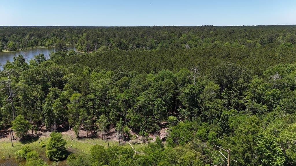 3.77 acres in Texas County - photo 9