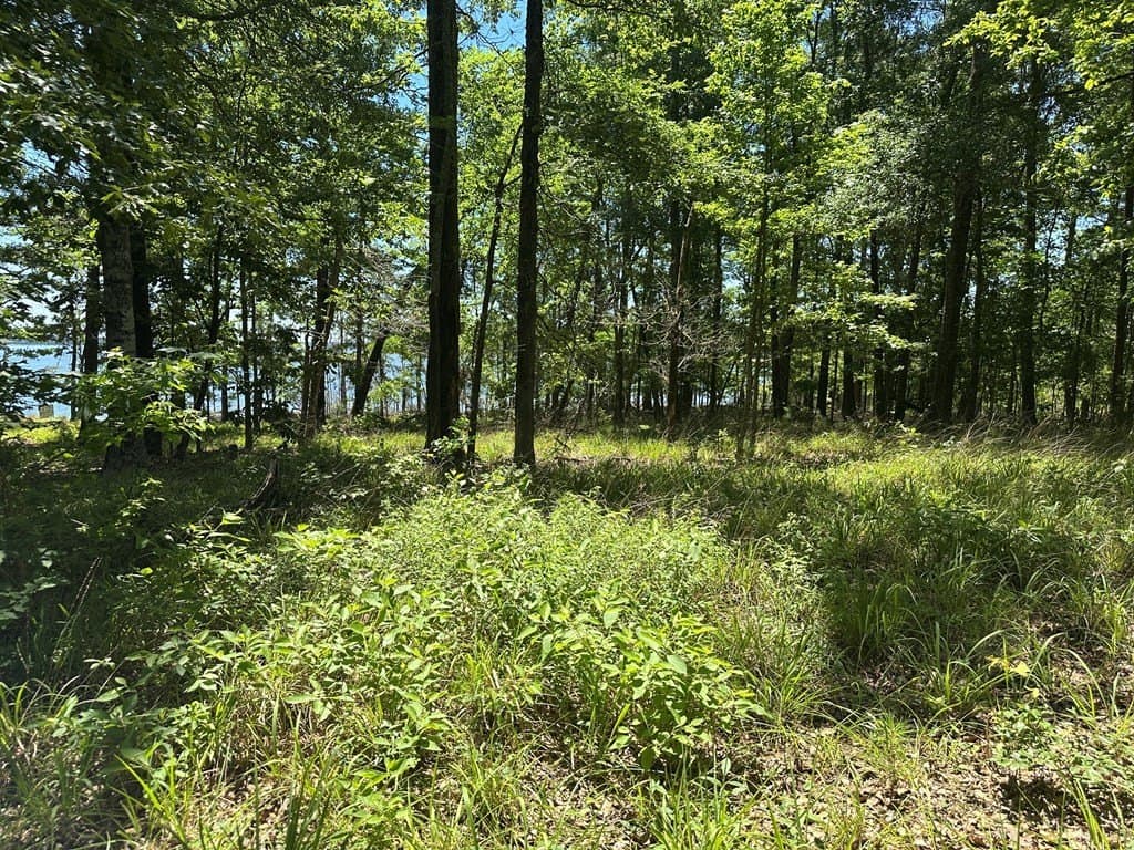 3.77 acres in Texas County - photo 25