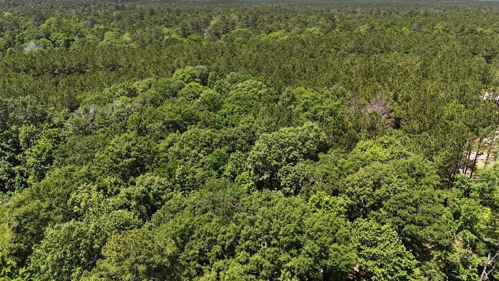 3.77 acres in Texas County - photo 14