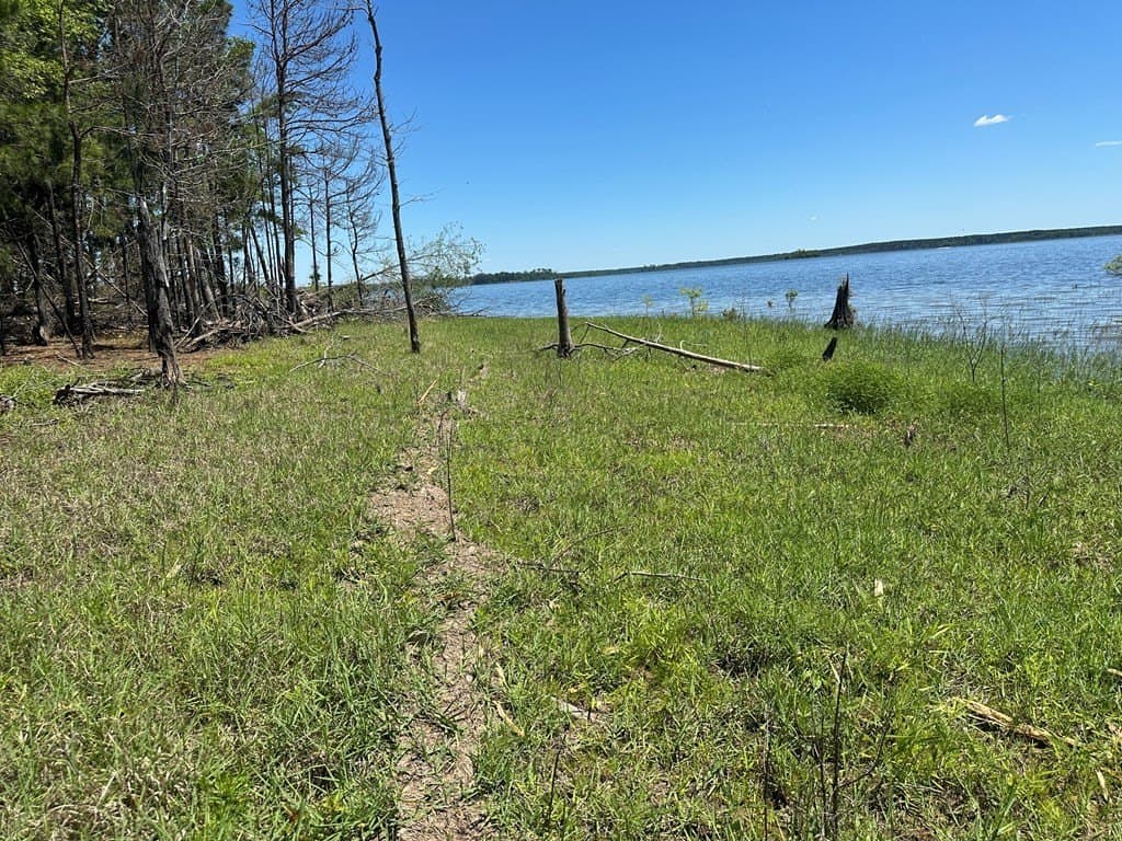 3.77 acres in Texas County - photo 22