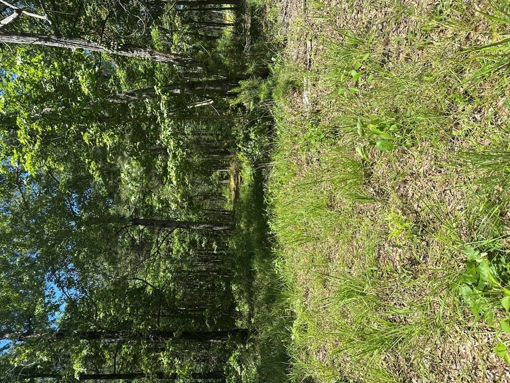 3.77 acres in Texas County - photo 24