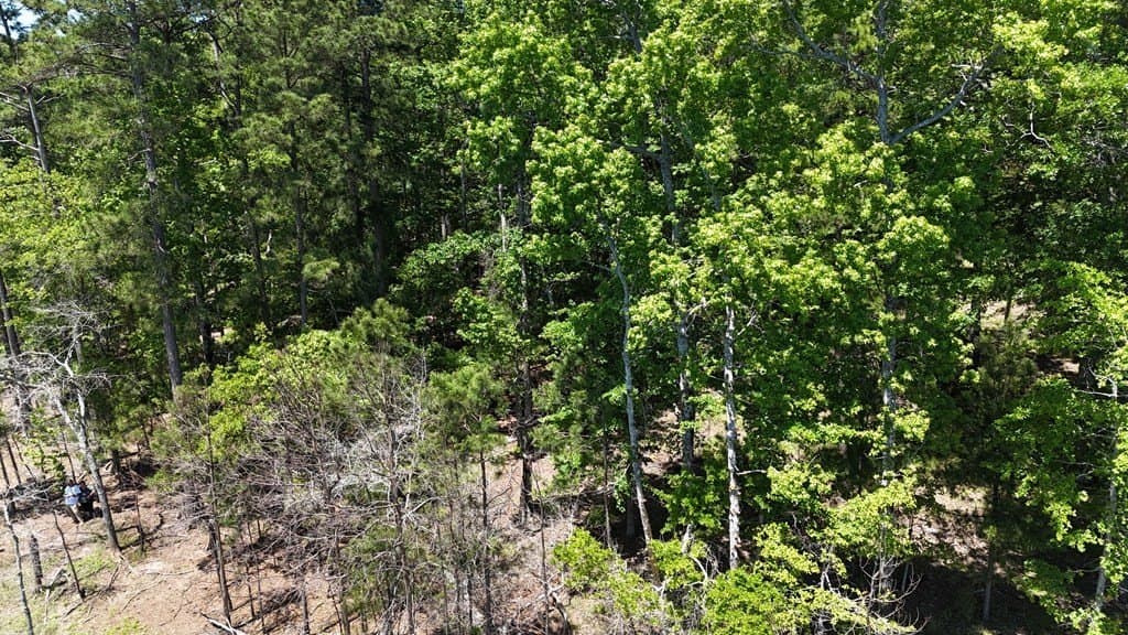 3.77 acres in Texas County - photo 13