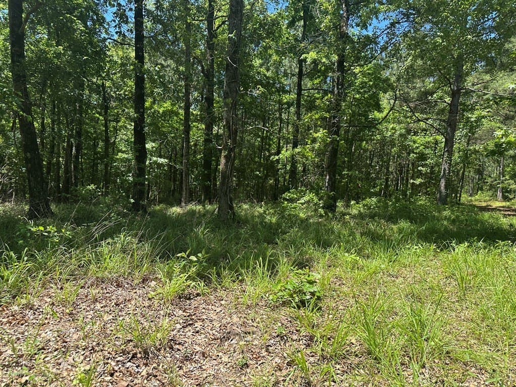 3.77 acres in Texas County - photo 23