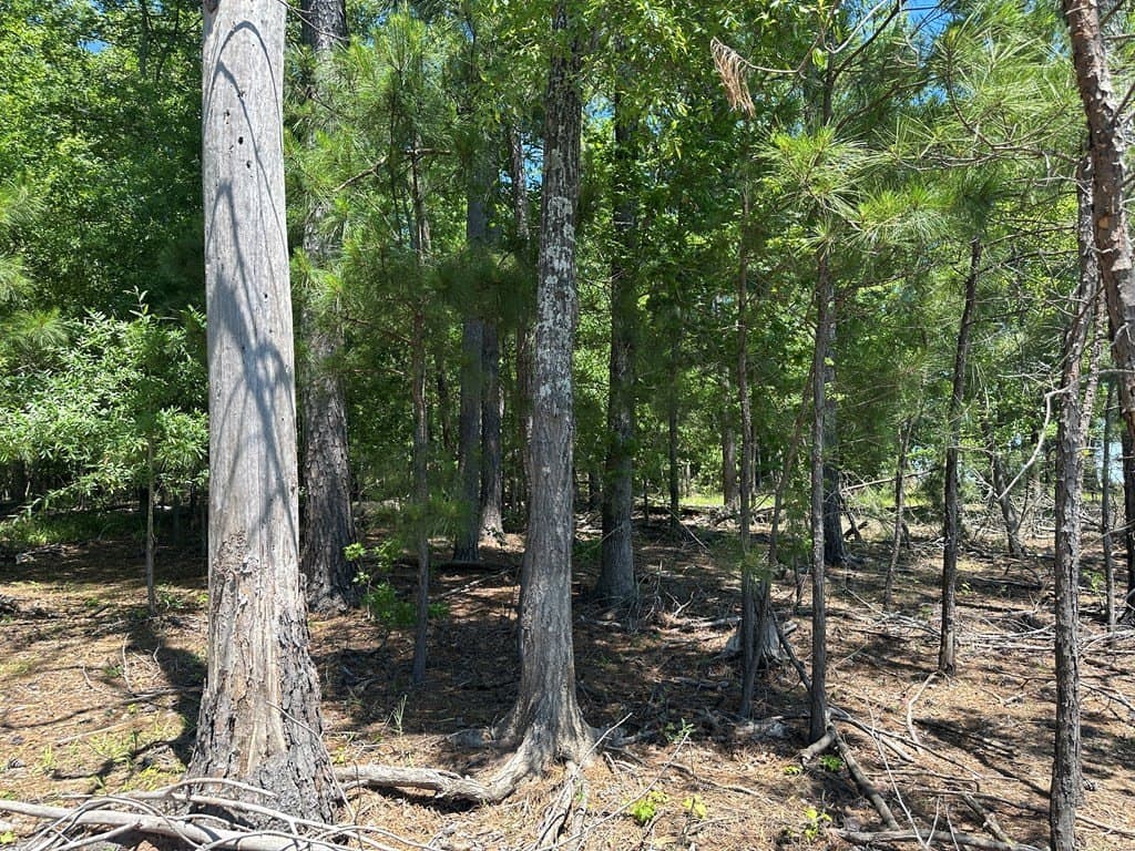 3.77 acres in Texas County - photo 20