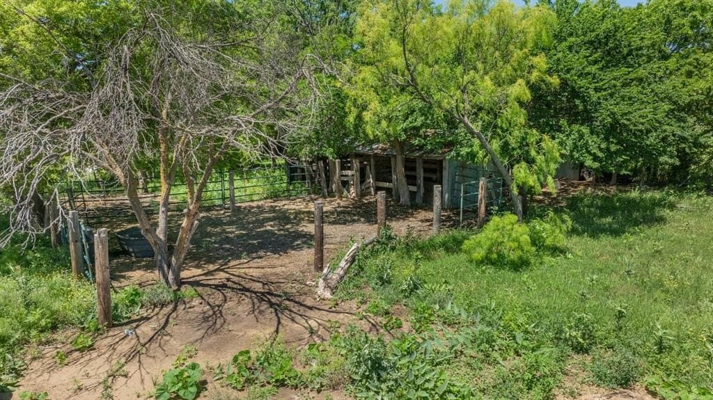 10 acres in Taylor County gallery image 2