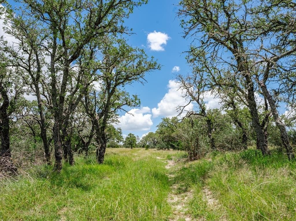 10.01 acres in Gillespie County