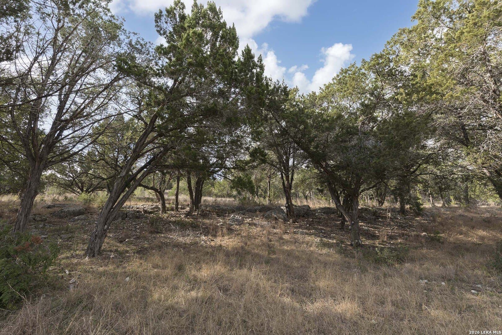 1.73 acres in Comal County - photo 6