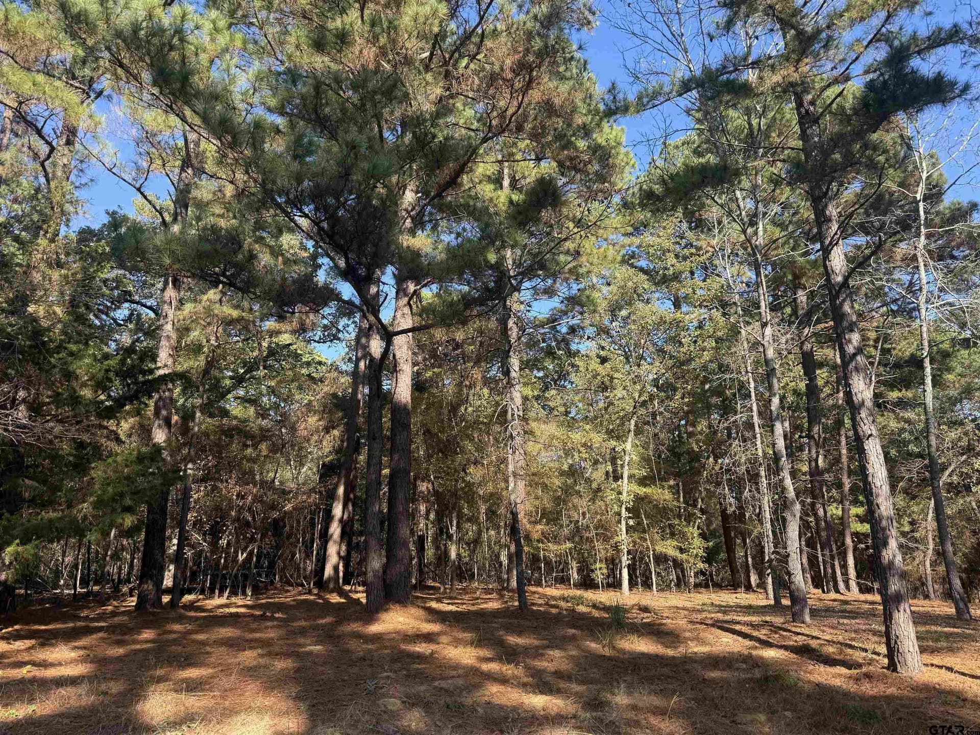 0.14 acres in Cherokee County - photo 5