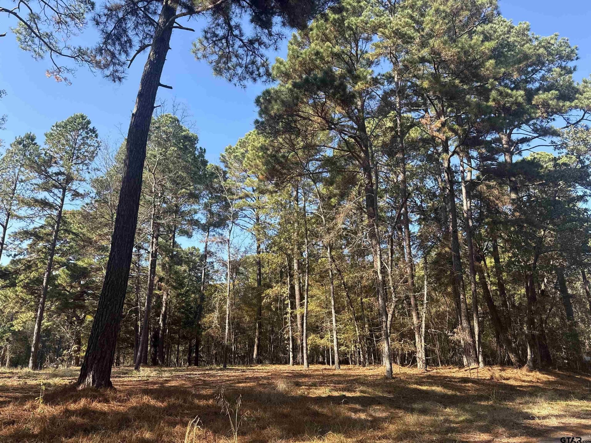 0.14 acres in Cherokee County - photo 4