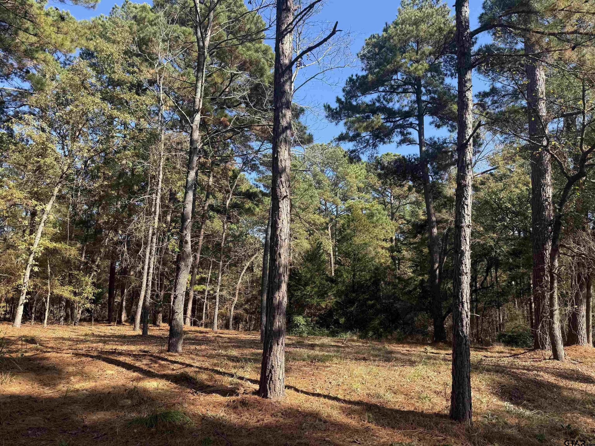 0.14 acres in Cherokee County - photo 2
