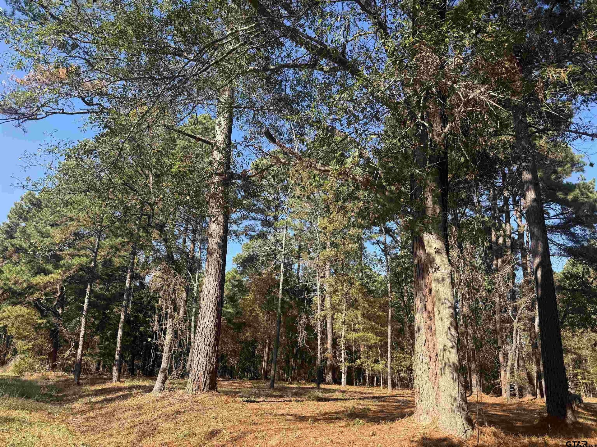 0.14 acres in Cherokee County
