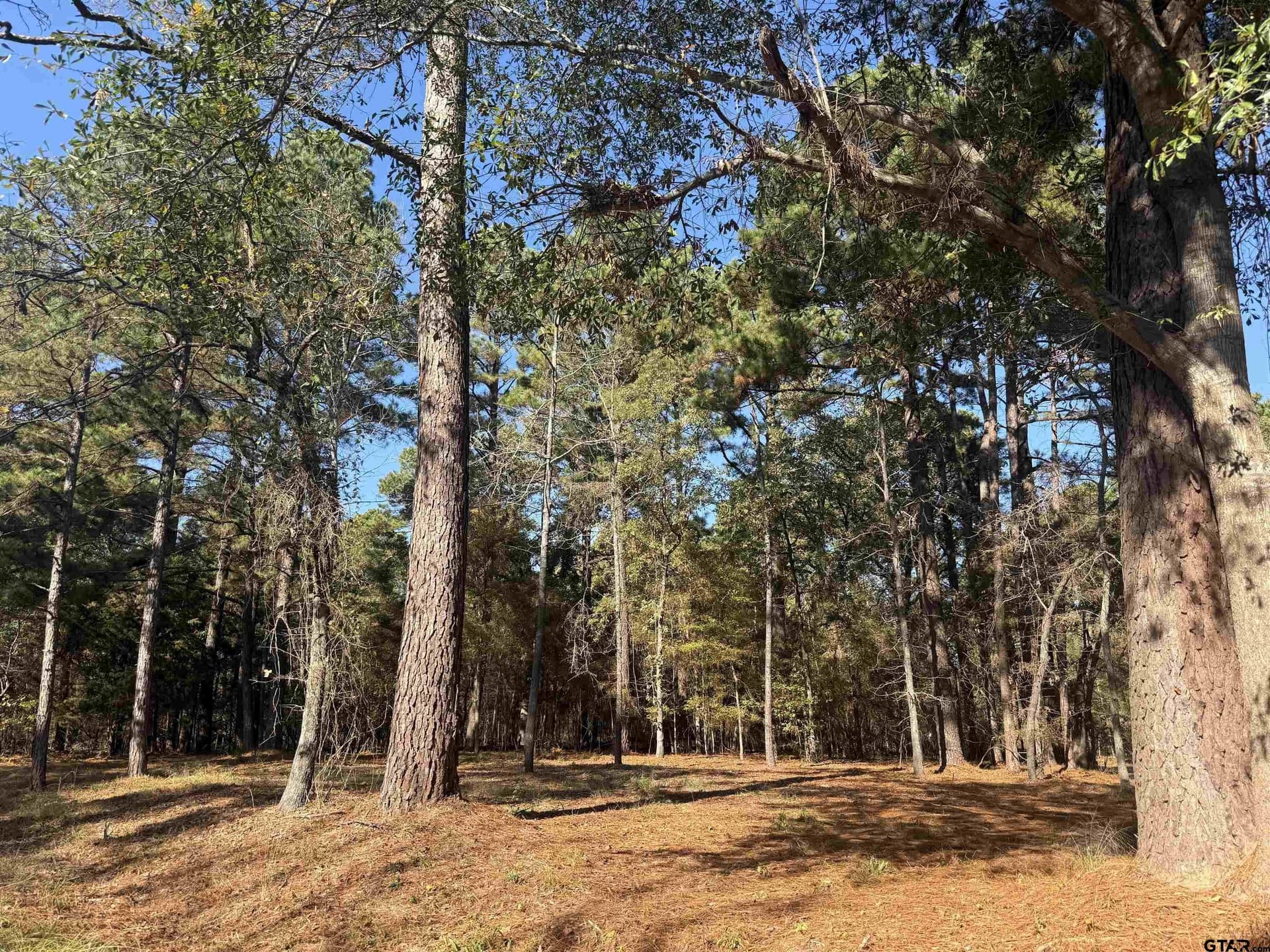 0.14 acres in Cherokee County - photo 3