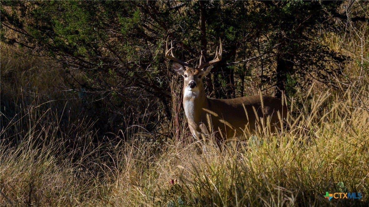 316 acres in Llano County - photo 22
