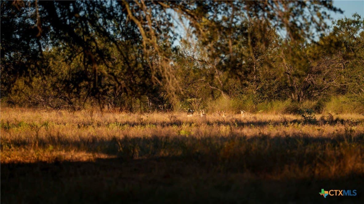 316 acres in Llano County - photo 44