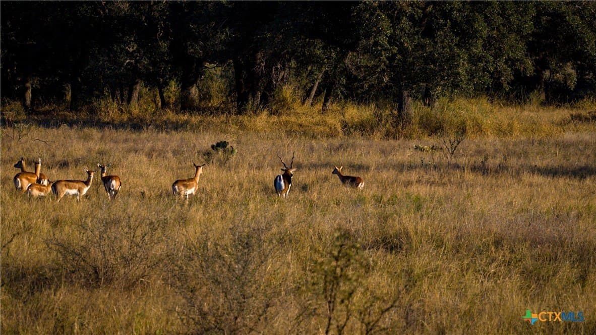 316 acres in Llano County - photo 27