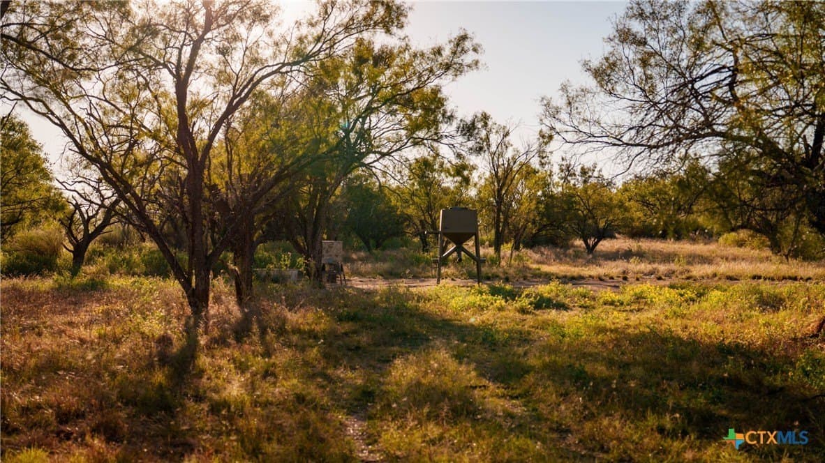 316 acres in Llano County - photo 41