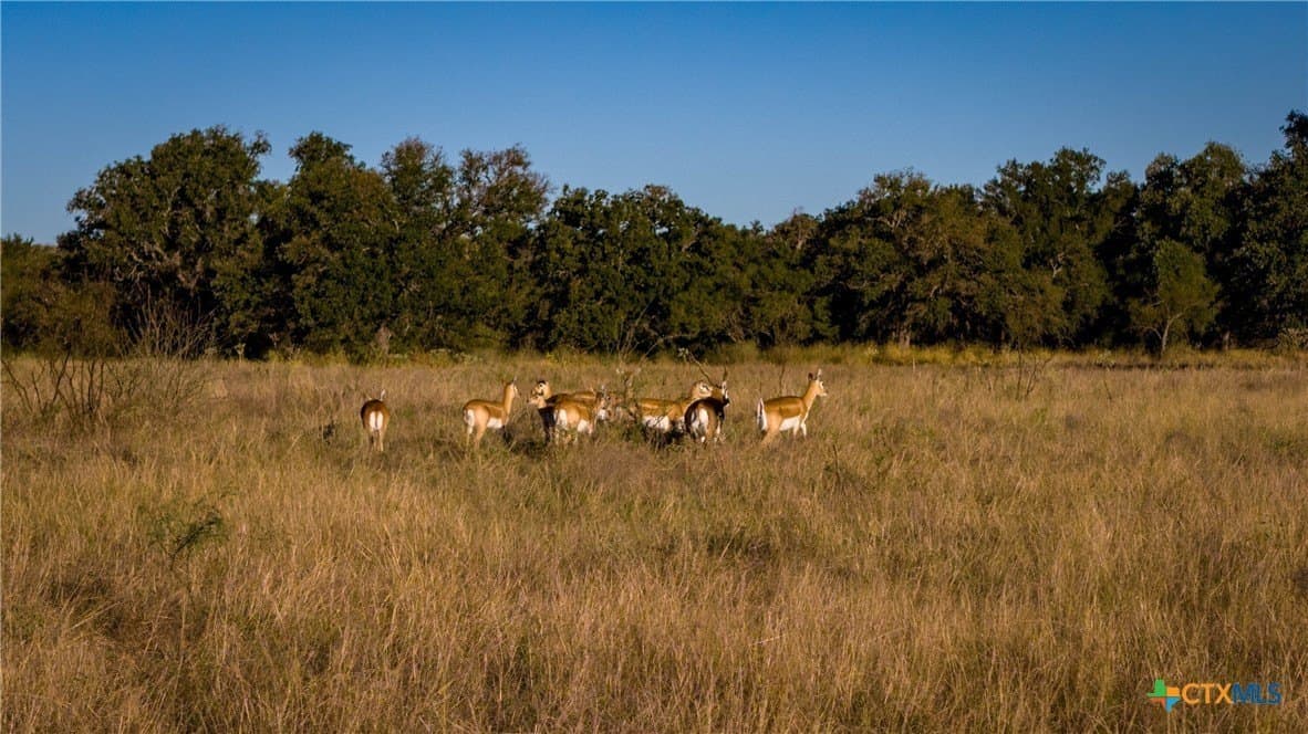 316 acres in Llano County - photo 25