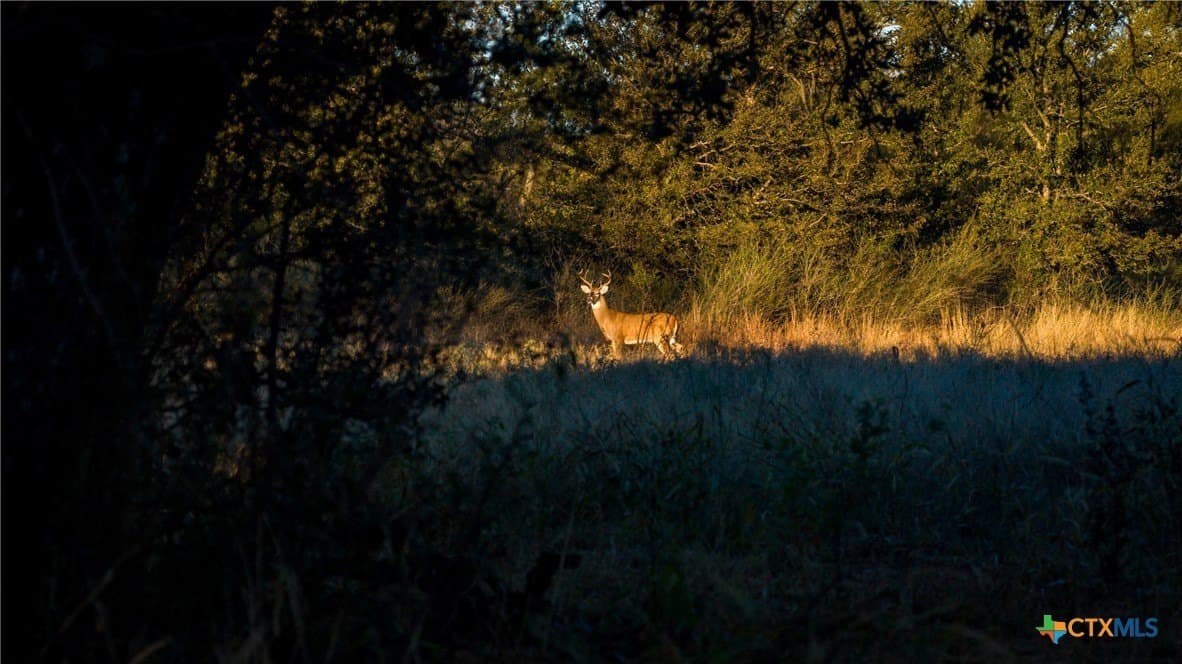 316 acres in Llano County - photo 42