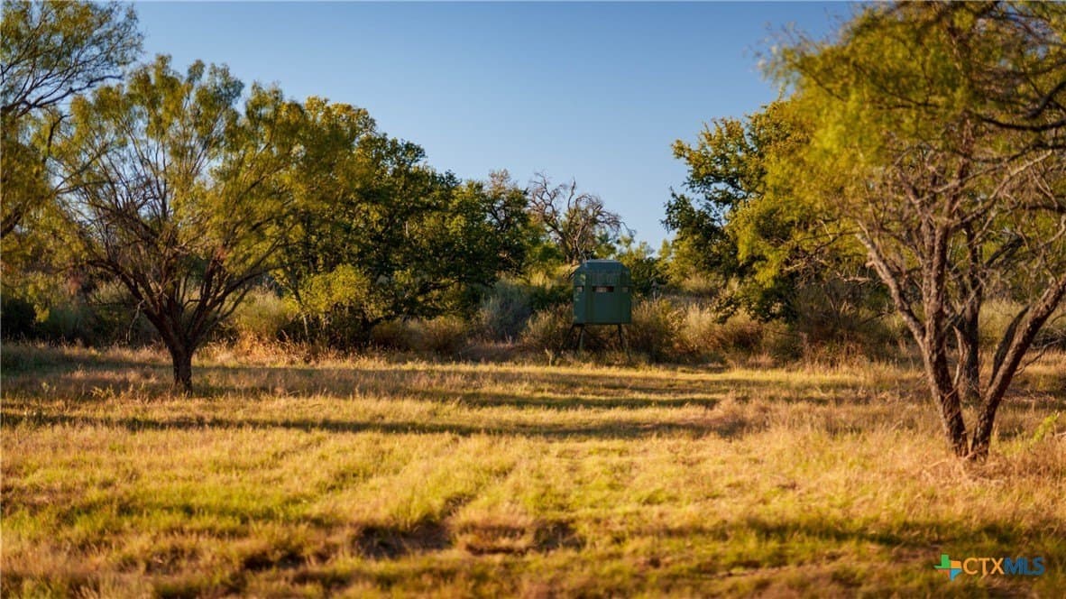 316 acres in Llano County - photo 35