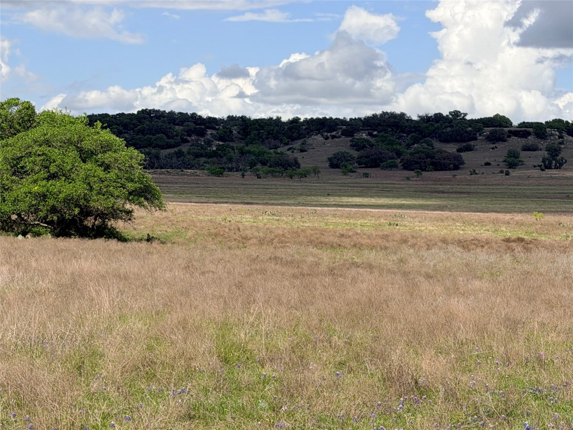 117 acres in Mills County - photo 3
