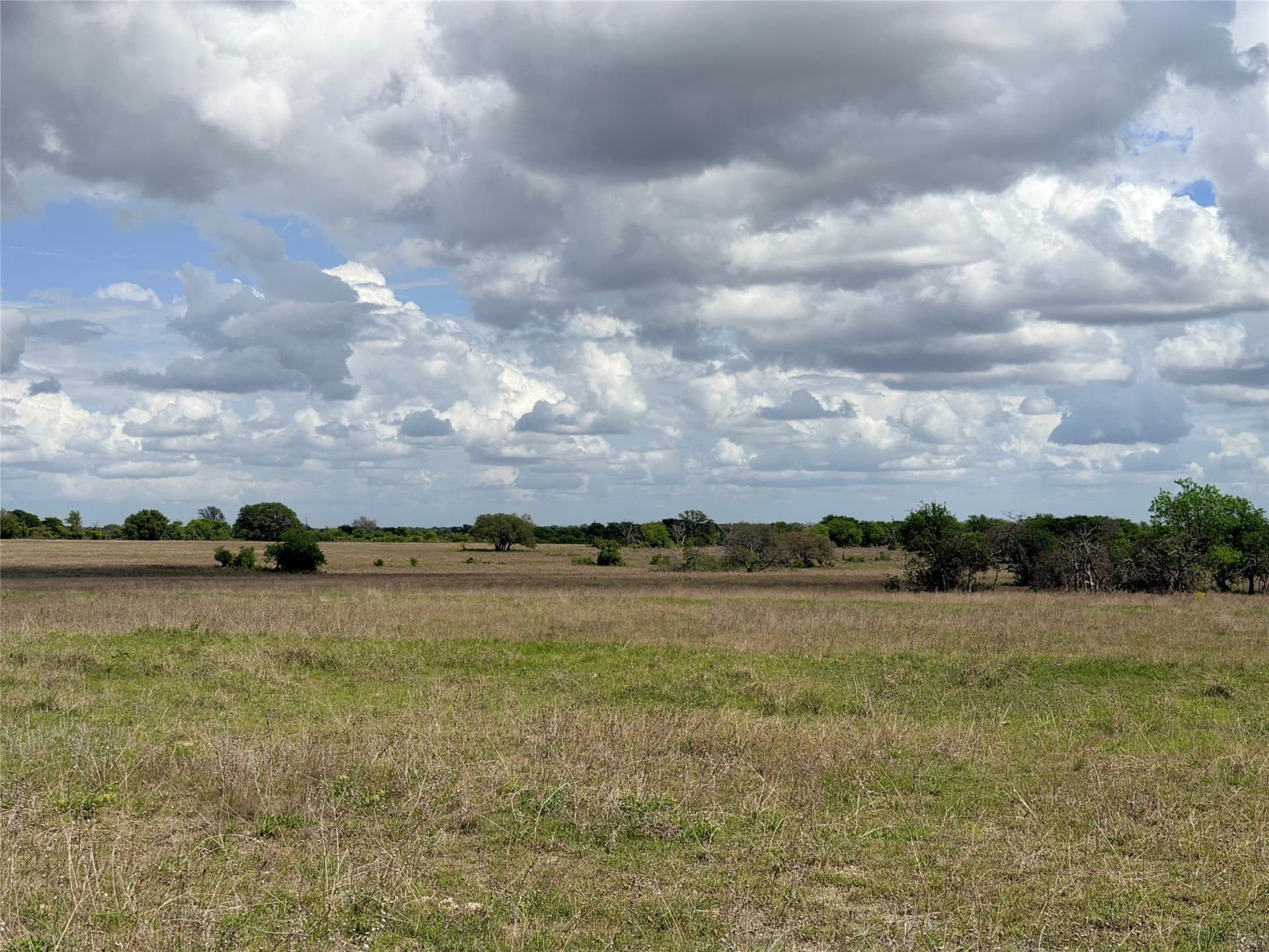 117 acres in Mills County - photo 5