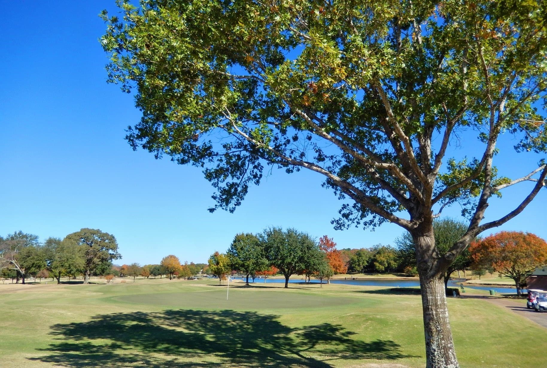 0.15 acres in Smith County - photo 22
