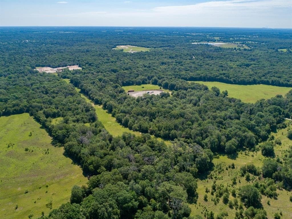53.95 acres in Limestone County gallery image 3