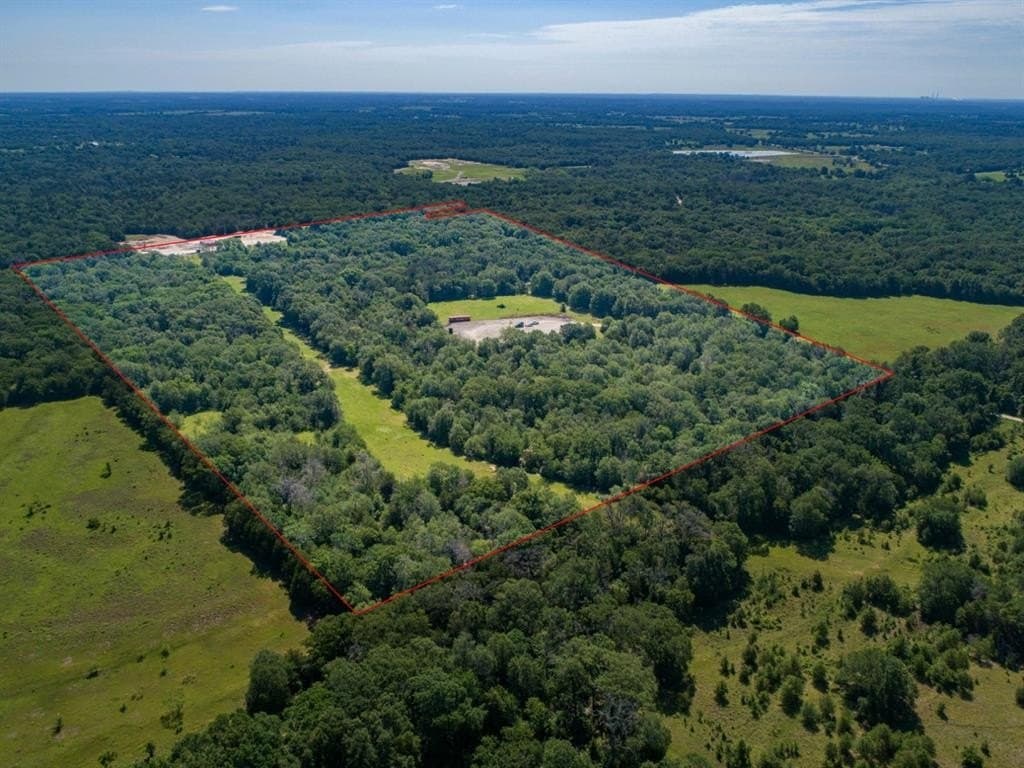53.95 acres in Limestone County gallery image 2