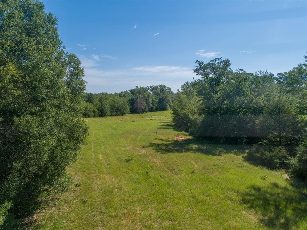 53.95 acres in Limestone County