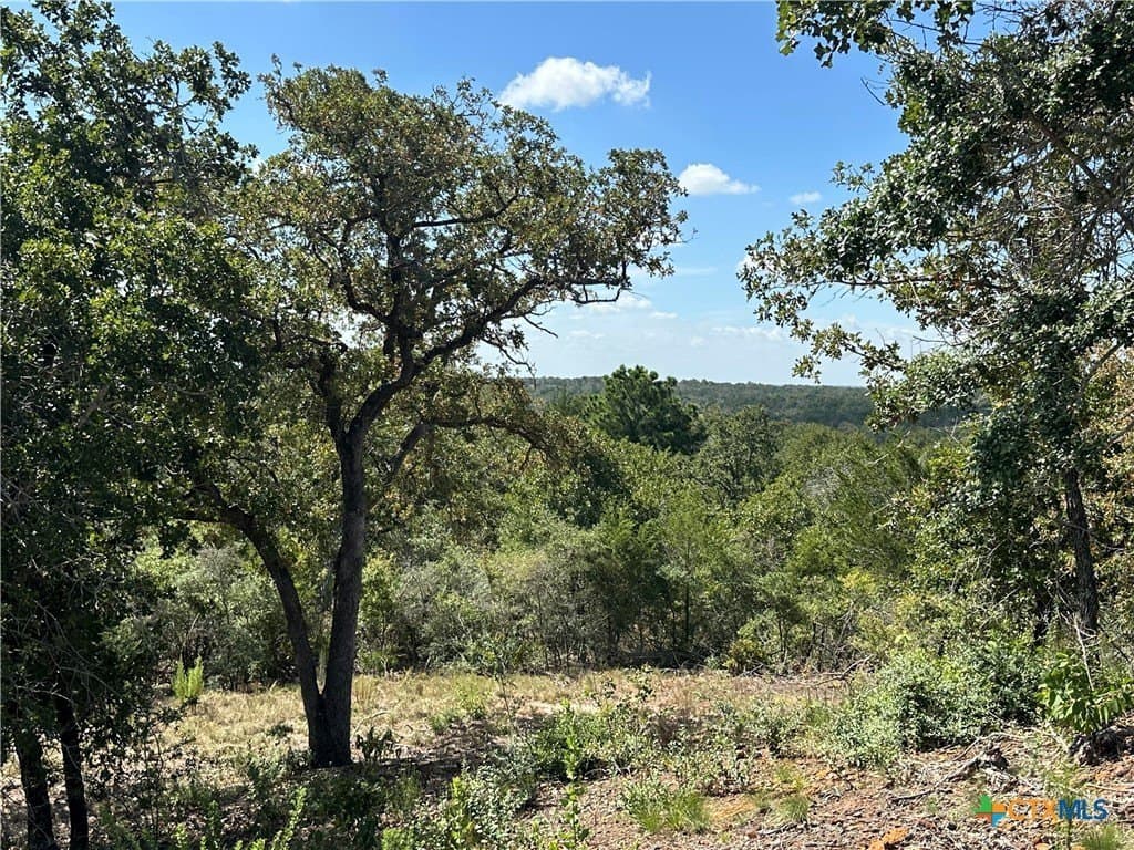 88.41 acres in Caldwell County - photo 23