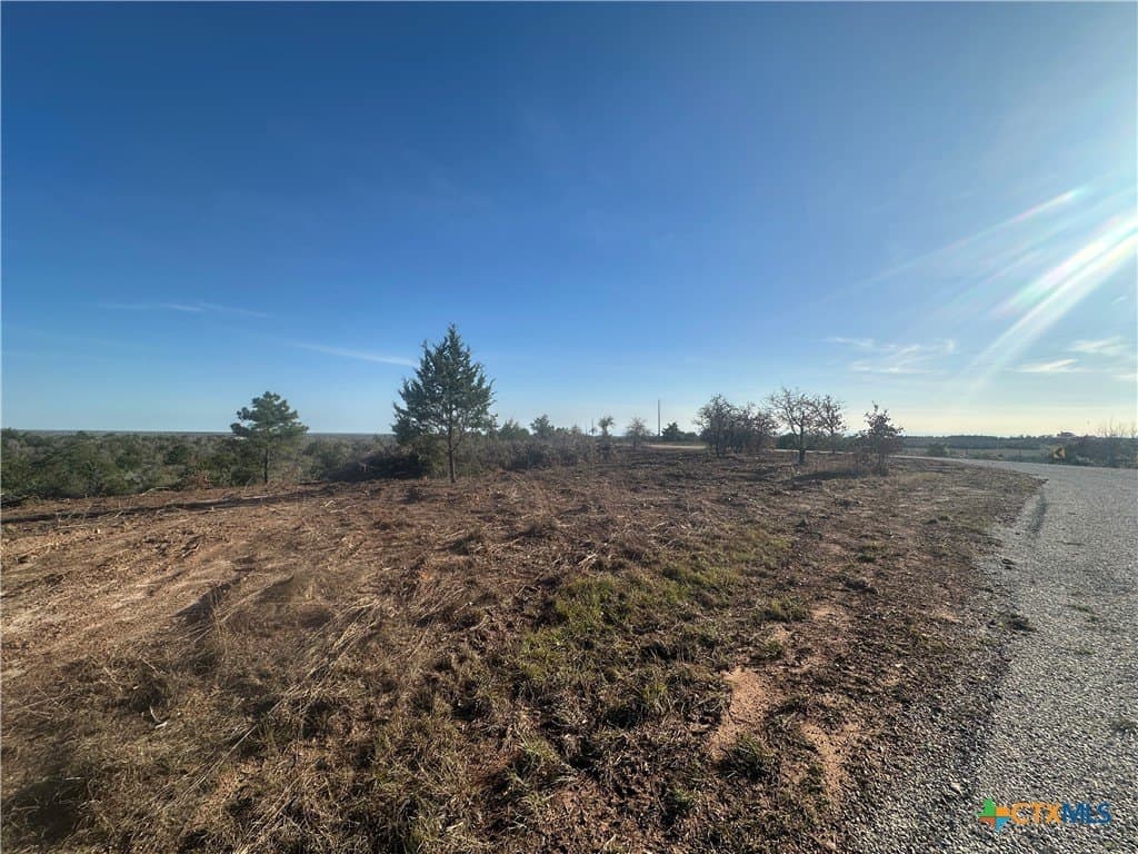 88.41 acres in Caldwell County gallery image 4